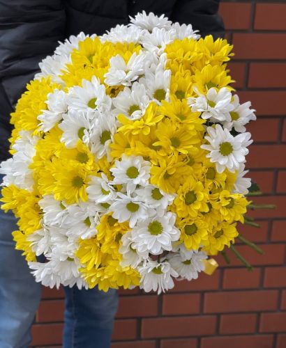 Купить букет из разноцветных хризантем с доставкой по Белогорску